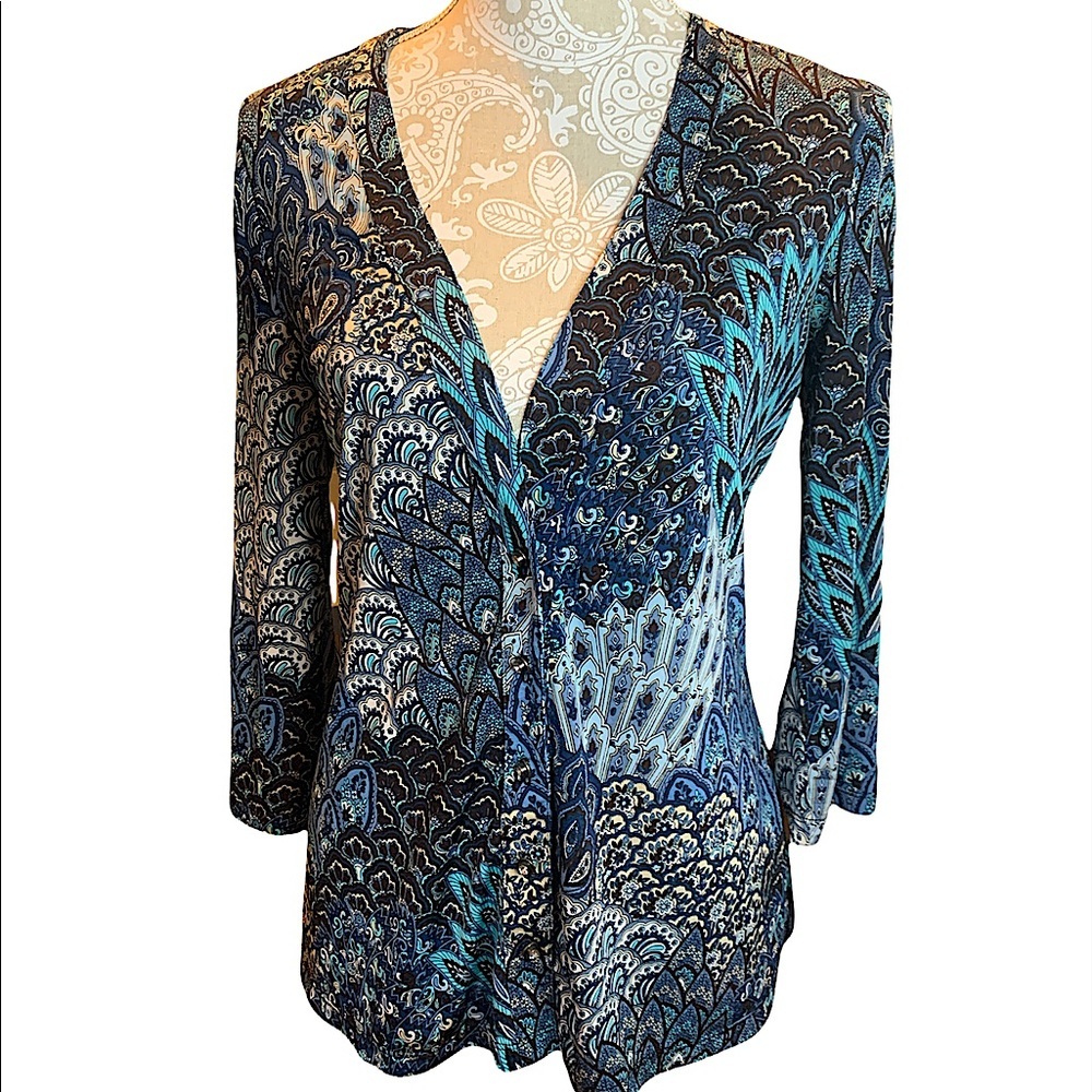 Laura Max v-neck button up Brandy blouse